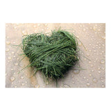 Survival Slip-in 40 photo album