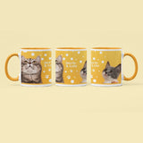 Picture mug