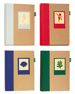 Greenlife memo 300 pocket album